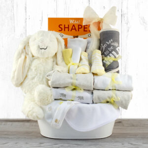 Born to be Wild: New Baby Gift Basket