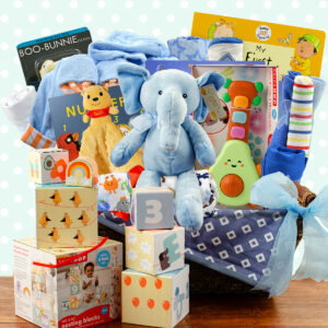 Grand Welcome: Baby Boy Gift Basket