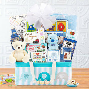 Bundle of Joy: Baby Boy Gift Basket