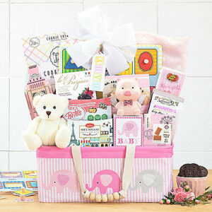 Bundle of Joy: Baby Girl Gift Basket